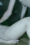 Screenshot_11