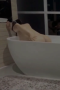 Screenshot_10